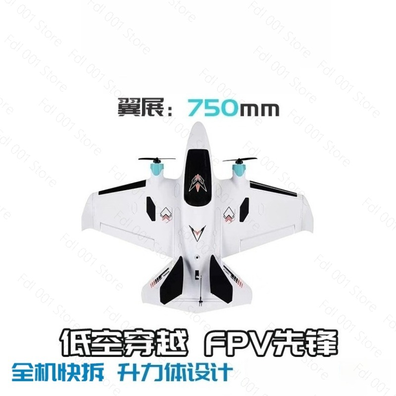 Dual Motor FPV vaste vleugel R - Drone Rc recensie en prijs